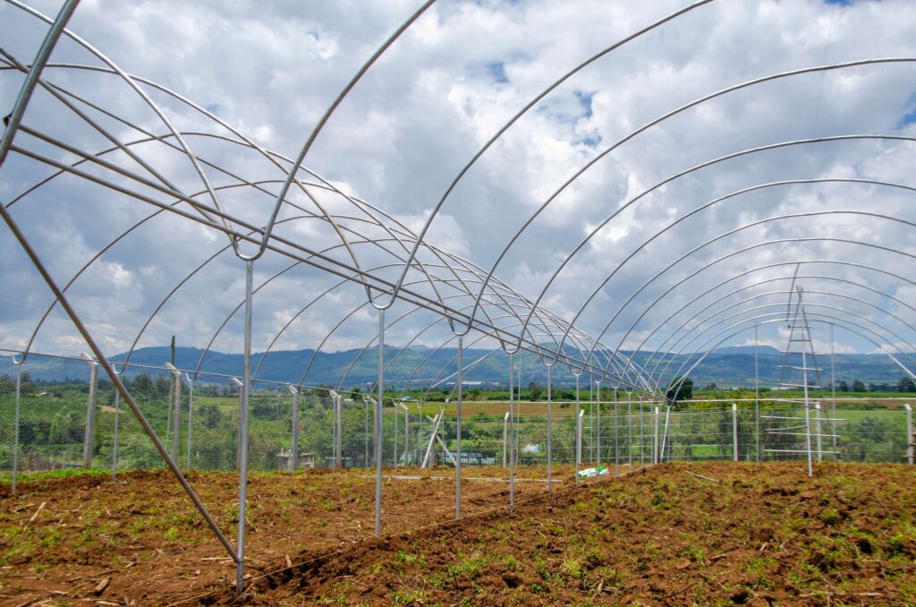 Cost of Green House in Kenya