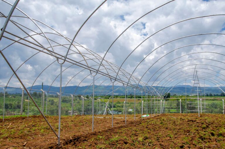 Cost of Green House in Kenya