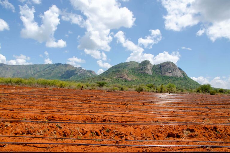 Land Preparation for Drip Irrigation in kenya