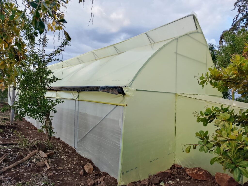 Green House Construction In Kenya