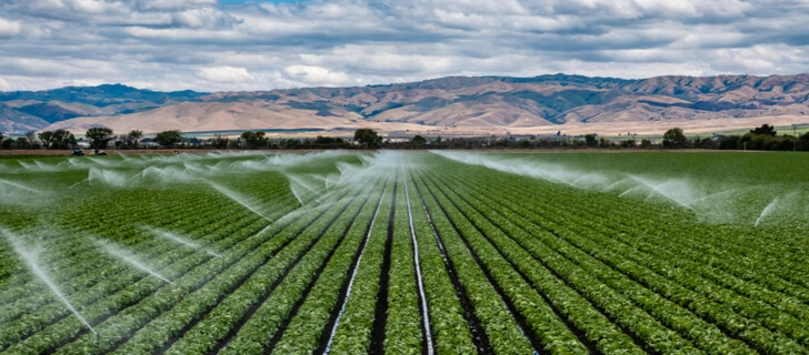 Precision irrigation systems