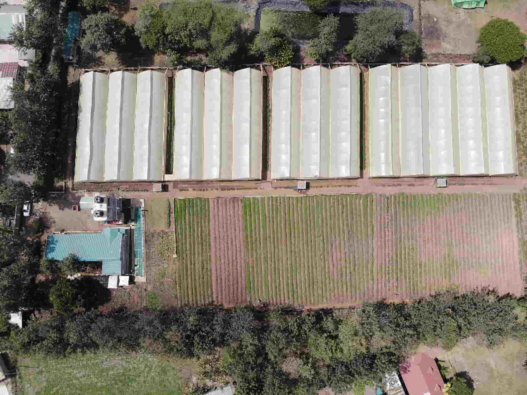 Eunidrip Irrigation Systems Kenya