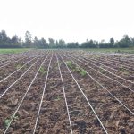 eunidrip irrigation systems -irrigation equipment supplier in Kenya