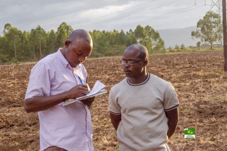 Agronomy services in Kenya