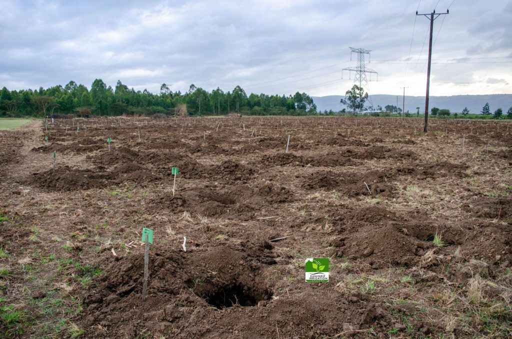 Pixels Irrigation Project in Nakuru