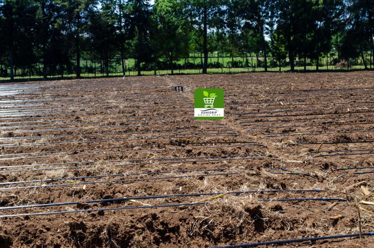 Irrigation Company in Rumuruti