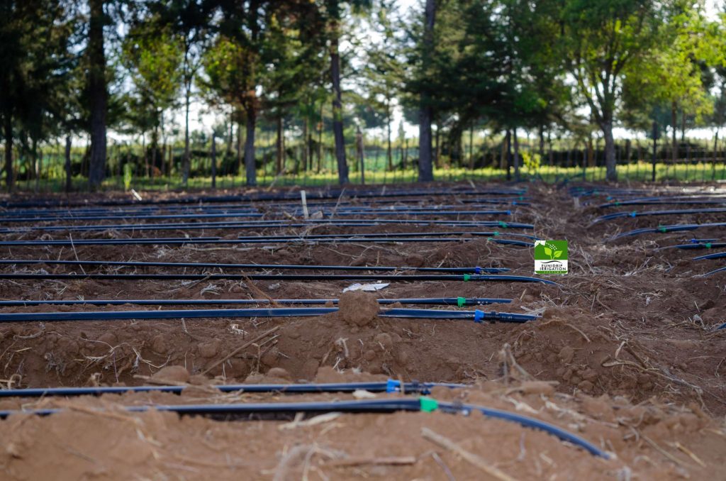 irrigation company in Rumuruti (3)