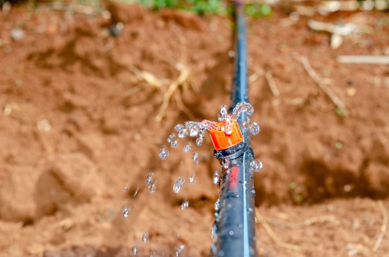 Avocado Drip Irrigation Installation in Uasin Gishu