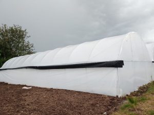 Greenhouse Construction in Kenya