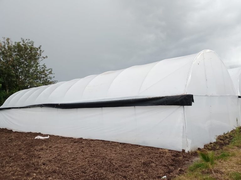 Greenhouse Construction in Nakuru