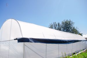 Greenhouse Construction in Nakuru at Mashini