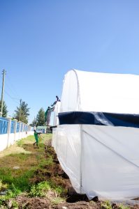 Greenhouse Construction in Nakuru at Muguga Dispensary (1)