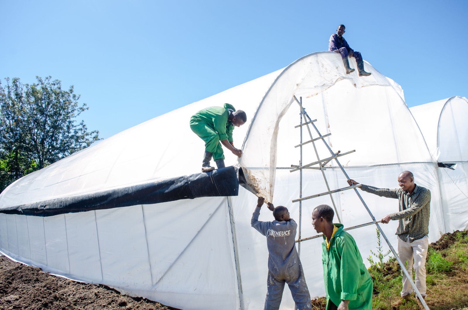 Greenhouse construction in Kenya – Nakuru greenhouse project by Eunidrip