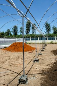 metallic greenhouse construction in kenya (1)