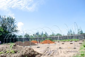 metallic greenhouse construction in nakuru