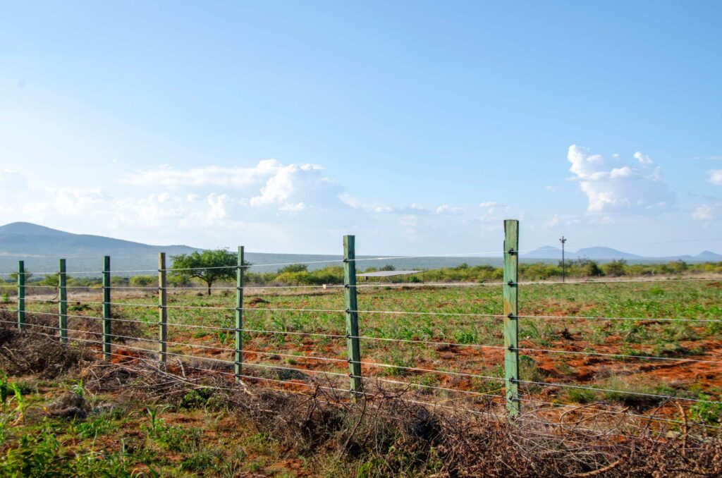 Farm Fence Installation in Taita Taveta- Kenya