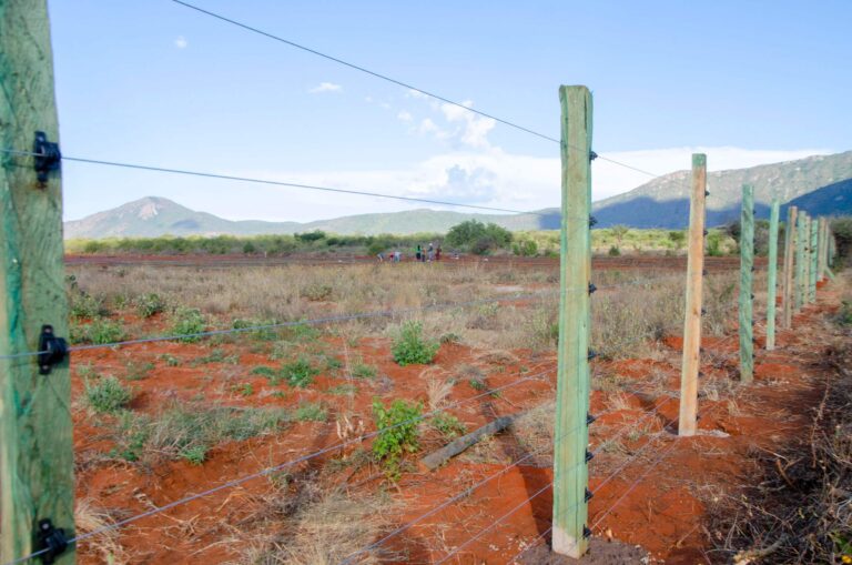Farm Fence Installation in Kenya