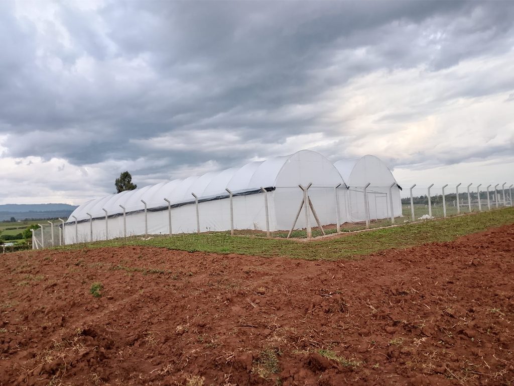 Eunidrip Irrigation Systems