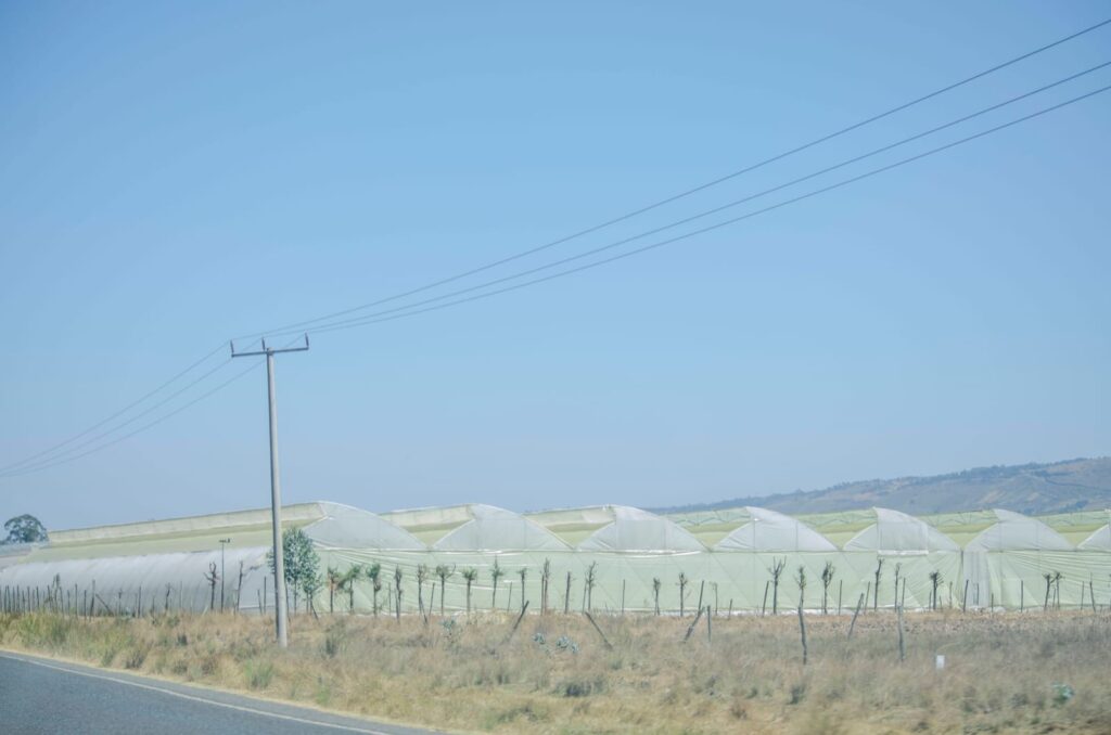 10 hectare greenhouse