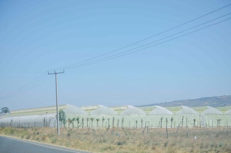 10 Hectare Greenhouse Construction Cost Factors